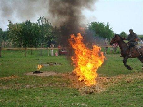 Grand spectacle au parc de Sainte-Croix Grand spectacle au parc de Sainte-Croix