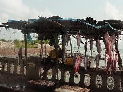 J'ai retrouvé (le magasin d'Ordralfabetix)