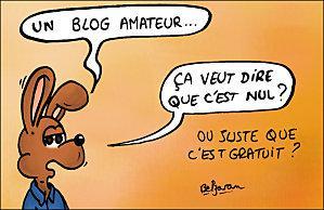 BlogAmateur