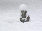 Dire dans solstice soleil