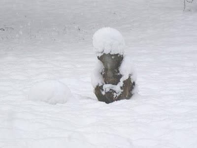 Dire que dans « solstice », il y a « soleil »