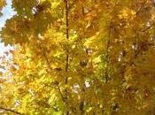 Vent doux (Claire Genoux)