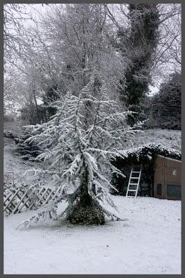 Je me fais rare en ce moment car comme beaucoup d'entre n...