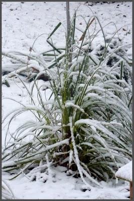 Je me fais rare en ce moment car comme beaucoup d'entre n...