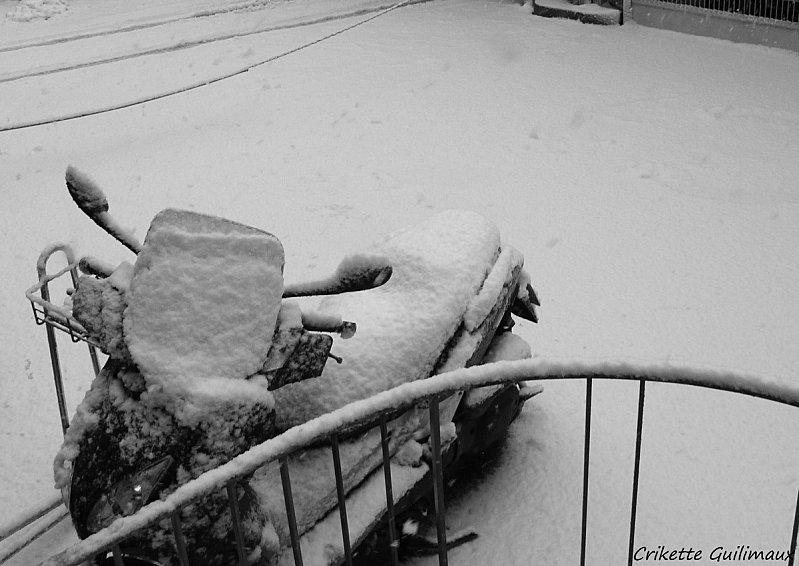 Scooter-des-neiges.jpg