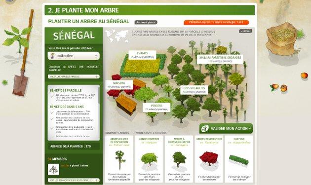 Reforestation : Planter un arbre ou l’offrir pour lutter contre la déforestation …