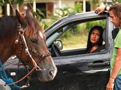 Foudre saison retour France aujourd'hui