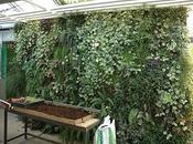 Serres municipales d'Aulnay-sous-bois.