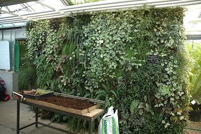 Serres municipales d'Aulnay-sous-bois.