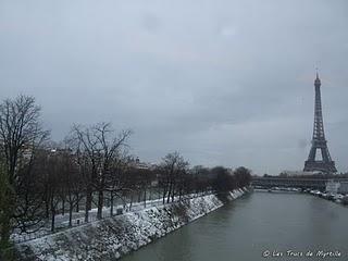 Paysage hivernal en région parisienne