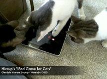 Game For Cats, l'appli iPad pour matou...