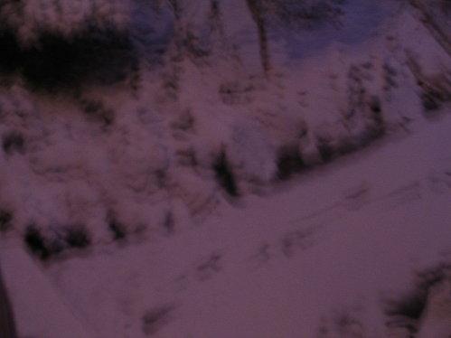 early-morning-snow-005.JPG