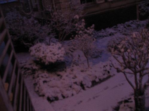 early-morning-snow-003-copie-1.JPG