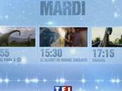 films cultes après-midi bande annonce