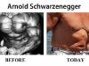 arnold-schwarzenegger