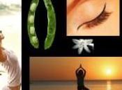 idée, plan partager