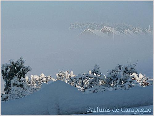 rue belle vue pdc2010