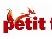 nombreux guides Petit Futé gratuits temporairement