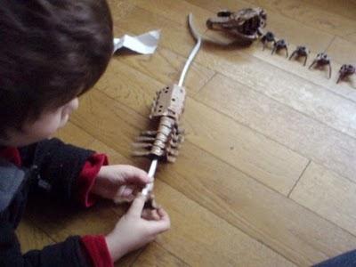 Les os de dinosaures pour apprendre la patience... et la différence