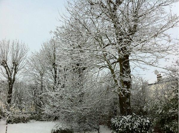 Comme dans une boule à neige