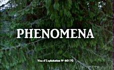 http://cineclap.free.fr/phenomena-1985/phenomena-00153.jpg?1188393374