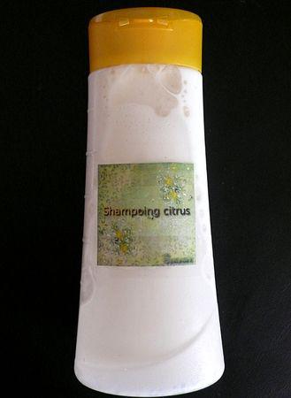 Shampoing_citrus
