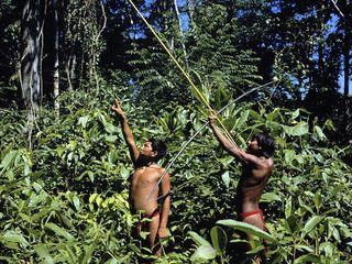Yanomami-indian-hunters-amazonas-venezuela (1)