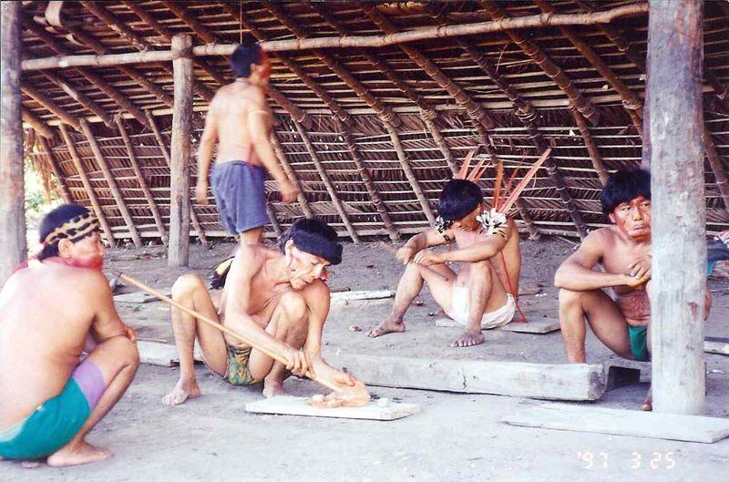 Yanomamo Yopo ceremony 2