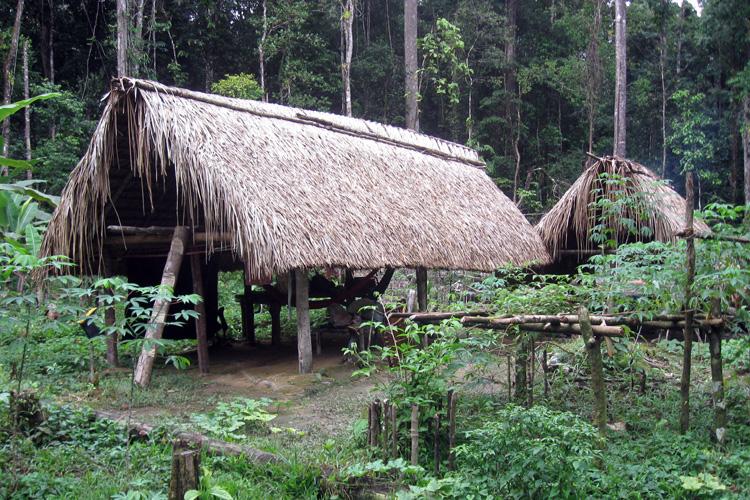 Amazonas_yanomami-hunting-camp_01gr
