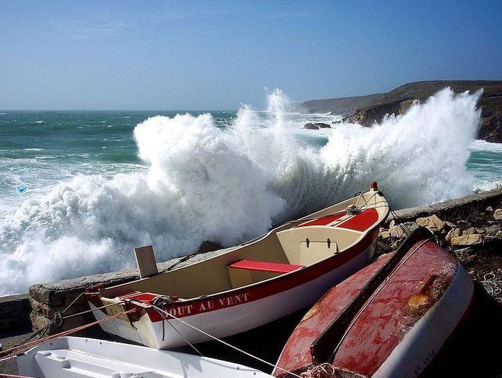 Photo (c) Henri Camus