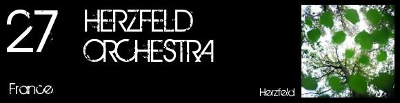 top2010-27-herzfeld-orchestra