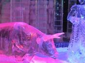 beauté glacée....(2ème volet)