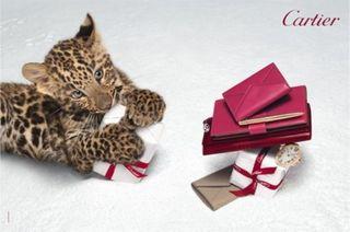 Cartier-winter-tale-panther-3
