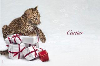 Cartier-snow-panther