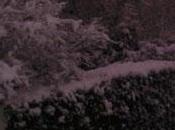 Fait Tout Banc, C'est tout Beau...