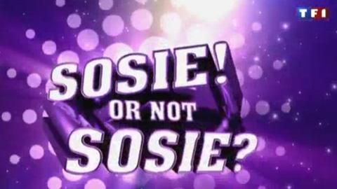 Sosie or not Sosie avec Vincent Cerutti sur TF1 ... un extrait de l'émission