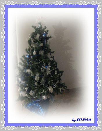 sapin_2