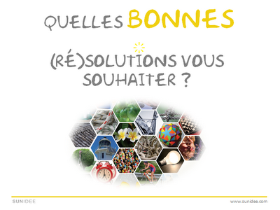 Joyeuses Fêtes et Belle année 2011 !