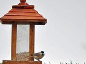 Nonnette très vive difficile prendre photo