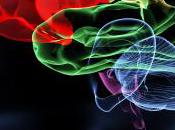 Exercices faciles pour cerveau dans matin