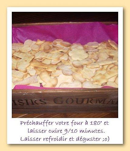 BISCUITS DE NOEL 11 PAINT