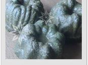 Soin démélant beauté cheveux bruns henné