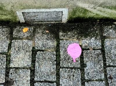 Le nénuphar lumineux