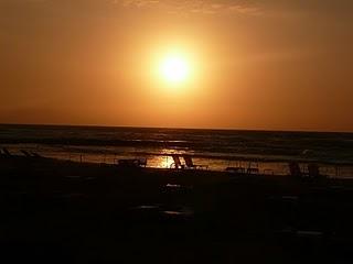 Une tique, et c'est la triste fin d'une histoire...