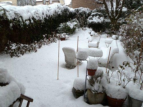 jardin sous la neige