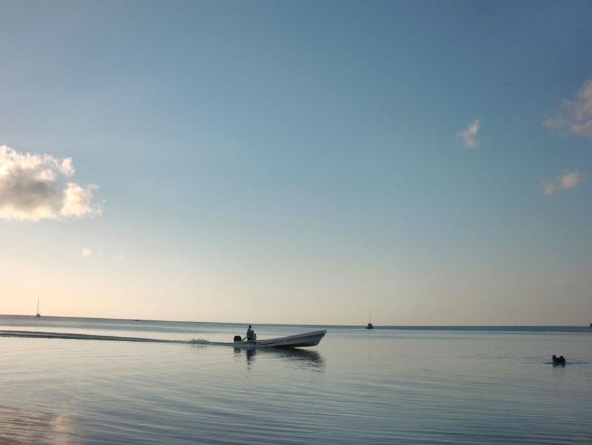 VILMO IN BELIZE – HAPPY END