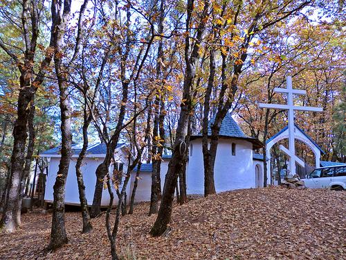 2010-11-12 Platina 01