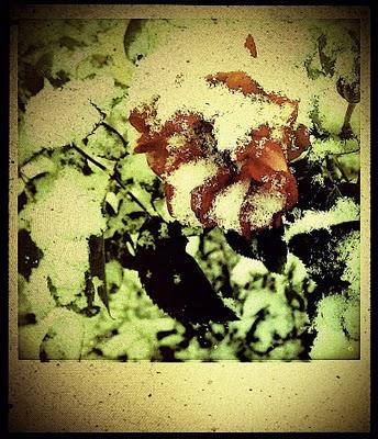 Blanc laiteux sur rouge sang