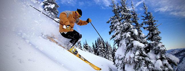 5 raisons pour continuer à bloguer et à twitter pendant les vacances