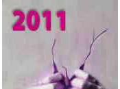 Bonnes fêtes pour 2011 espoir